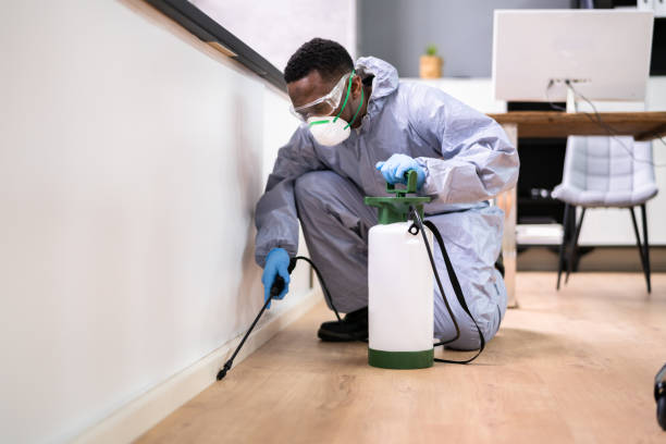 Best Real Estate Pest Inspections  in Calverton, NY